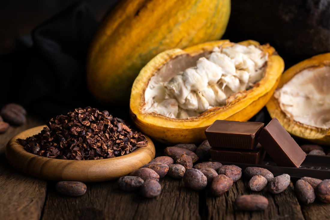 Cacao fruit and cocoa flakes in a natural setting