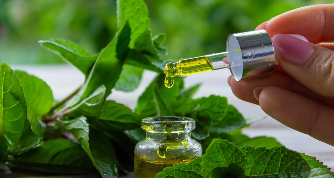 What are the Essential Oils in Heddy + Hinton Skincare Products?